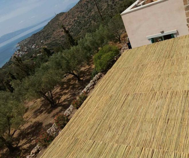 1c584fee 083b 4c20 Bd07 688b3f7d2ec3