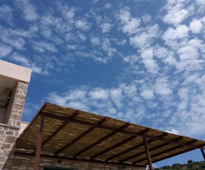 Bda3f8cb D61a 4766 Ab45 16b3df8e233d