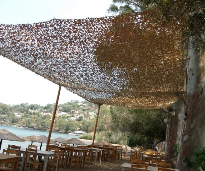 53877d78 76d6 4b64 A3be 64d4867ee535